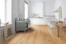 MPlus Aktiv 2024 F-Parkett 2V Ham.537351